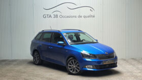 FABIA COMBI