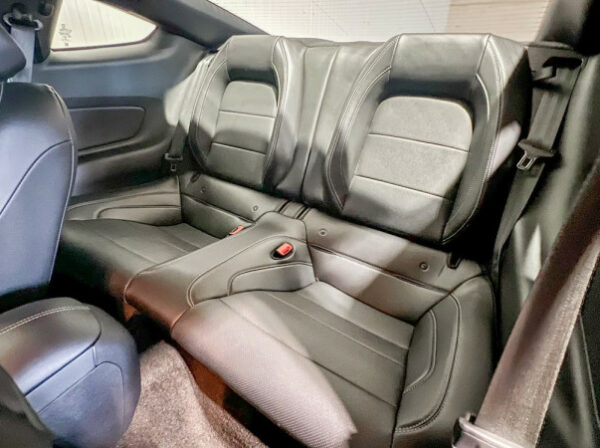 FORD MUSTANG FASTBACK