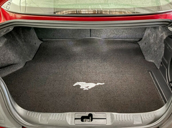 FORD MUSTANG FASTBACK